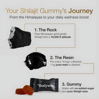 Shilajit Gummies